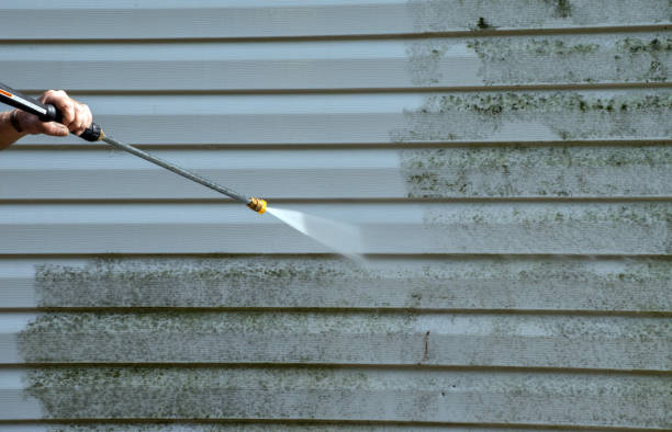 Best Gutter Cleaning  in Friday Harbor, WA