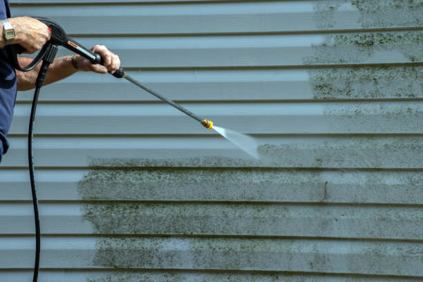 Best Roof Washing  in Friday Harbor, WA