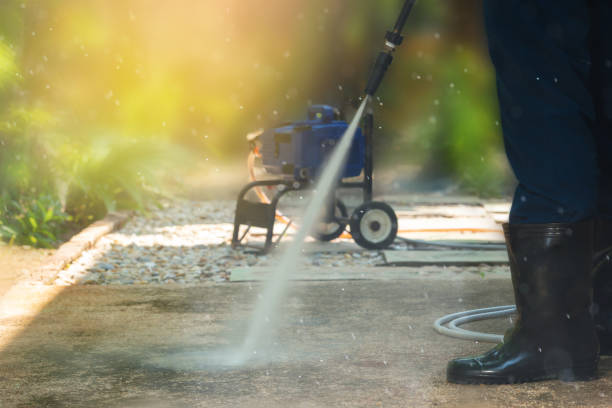 Best Dumpster Area Cleaning  in Friday Harbor, WA